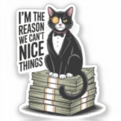 Sticker I'm The Reason Nice Things Funny Cat Gift (Recto)