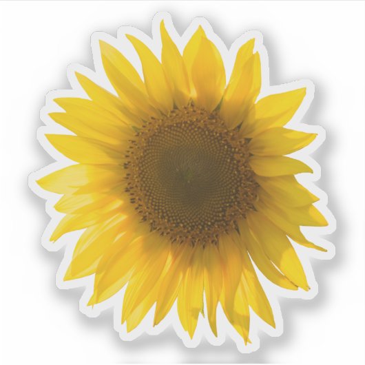 Sticker Image de vrai tournesol jaune (Devant)