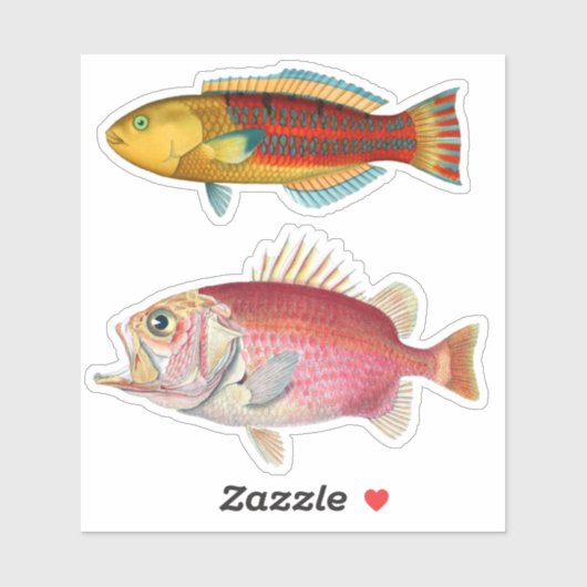 Sticker Impression Artiste Poisson Tropical Illustration V (Feuille)