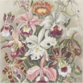 Sticker Impression botanique vintage d'orchidée par Ernst  (Devant)