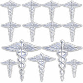 Sticker Infirmière inscrite RN Silver Caduceus (Devant)