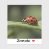 Sticker Insecte de Ladybug (Feuille)