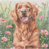 Sticker irlandais Setter Watercolor (Devant)