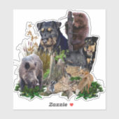 Sticker Jagdterrier Apache c. Renbrad. (Feuille)