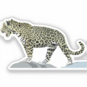 Sticker jaguar-animal-chat-jungle sauvage (Recto)