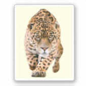 Sticker Jaguar Eyes (Recto)