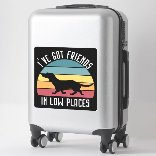 Sticker J'ai des amis à des endroits bas (Sur valise)