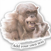 Sticker Jambo le chimpanzé sans cheveux (Recto)