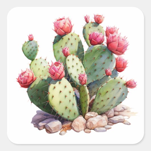 Sticker Jardin Cactus en fleurs - Succulen coloré (Devant)