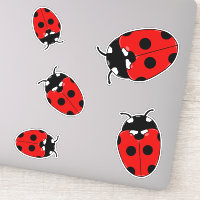 Jardin de Ladybugs mignons Insectes