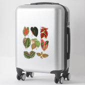 Sticker Jardin Plante feuille illustrations d'art botaniqu (Sur valise)