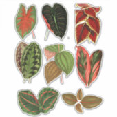 Sticker Jardin Plante feuille illustrations d'art botaniqu (Devant)