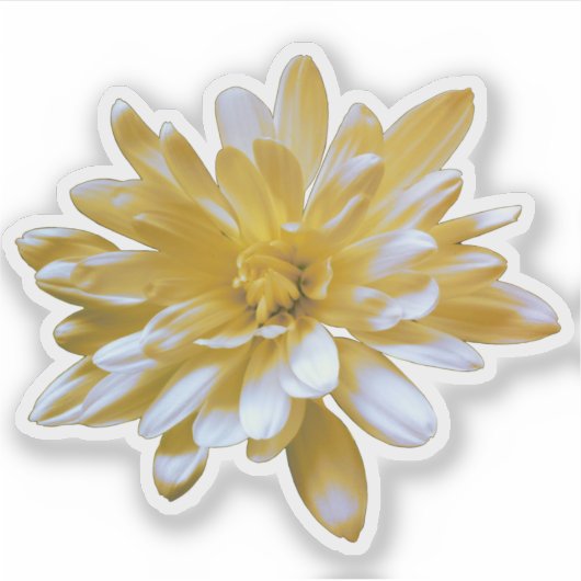 Sticker jaune floral mignon (Devant)