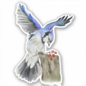 Sticker Jay bleu d'oiseau de la forêt (Devant)