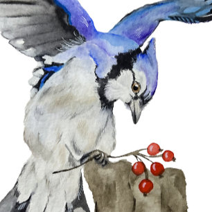 Sticker Jay bleu d'oiseau de la forêt