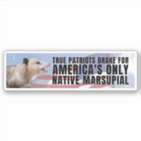 Je freine pour le seul marsupial natif d'Amérique