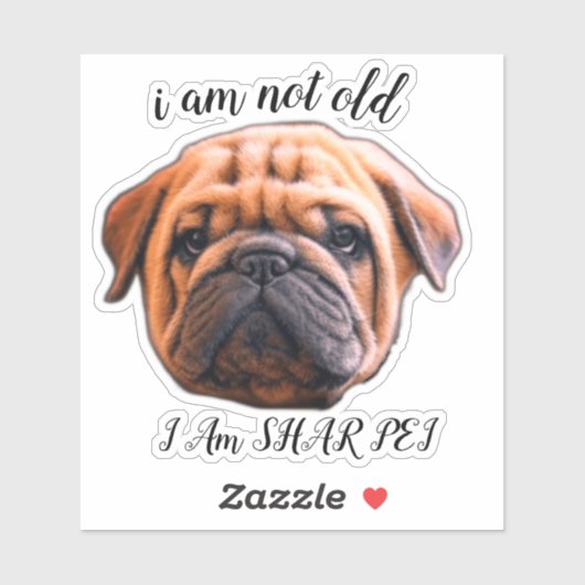 STICKER JE NE SUIS PAS VIEUX STCKER (Feuille)
