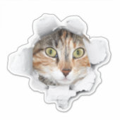 Sticker Jetez un coup d'oeil à une valise de chat (Devant)