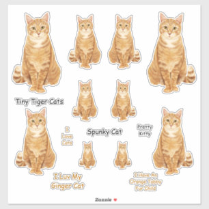 Sticker Jeu d'autocollants Lg Tabby Cat Orange