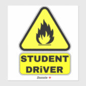 Sticker Jeune Conducteur Drôle (Attention Conducteurs Adol (Feuille)