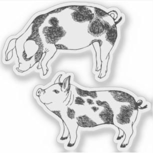 Sticker Joli cochon noir et blanc dessiné à la main avec d