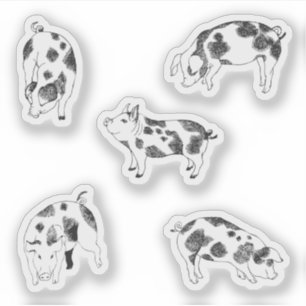 Sticker Joli cochon noir et blanc dessiné à la main avec d