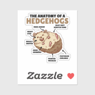Sticker Joli Hérisson Explication Anatomie D'Un Hérisson