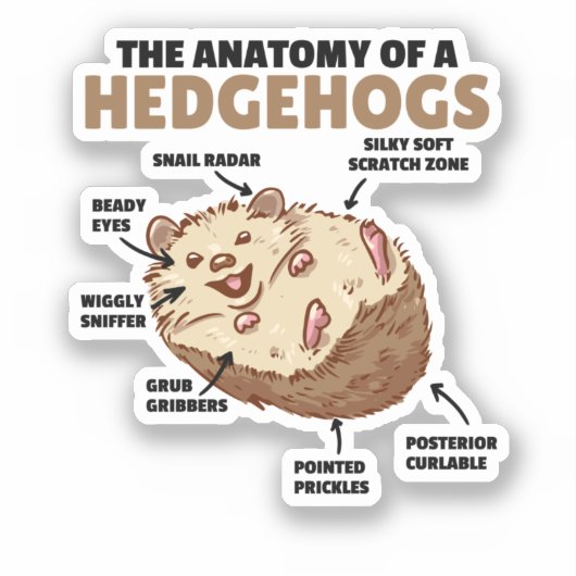 Sticker Joli Hérisson Explication Anatomie D'Un Hérisson (Recto)