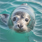 Sticker Joli phoque Sticking sa tête hors de l'eau (Recto)