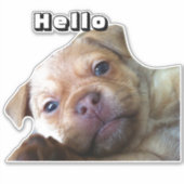 Sticker Jote Chiot Dit Bonjour Téléphone Décoration (Devant)