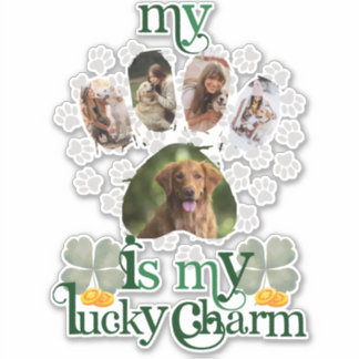 Sticker Jote Custom Paw Photos Chien St Patrick's Day