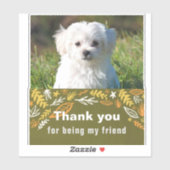 Sticker Jour de l'amitié (Feuille)