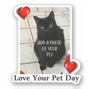 Sticker Journée de l'amour pour votre animal