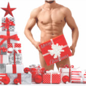 Sticker Joyeux Noël SlipperyJoe cadeau blanc rouge argent (Devant)