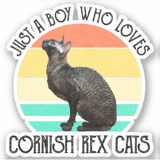 Sticker Just A Boy Who Loves Cornish Rex Cats (Devant)