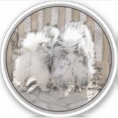 Sticker Keeshonds at the Gate Painting - Original Dog Art (Devant)