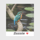 Sticker Kingfisher Bird (Feuille)