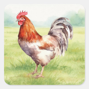 Sticker Kippenboerderij