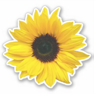 Sticker Kiss-Cut Fleur de Tournesol Jaune