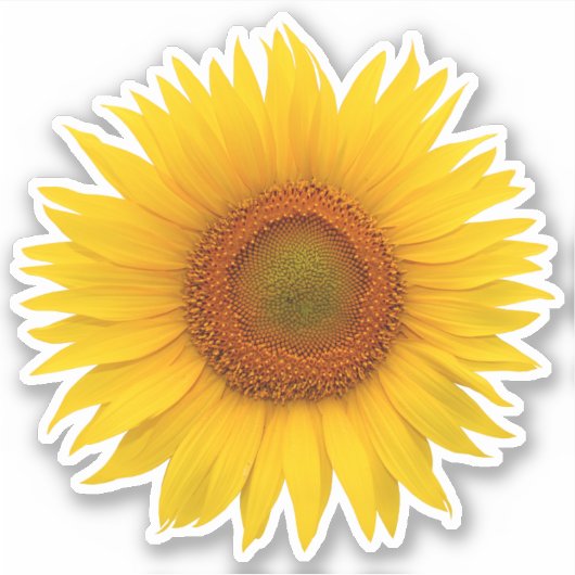 Sticker Kiss-Cut Fleur de Tournesol Orange Jaune (Devant)