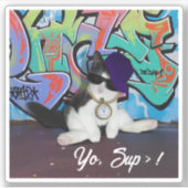 Sticker Kitten Avec Attitude Chat (Devant)