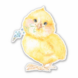 Sticker Kleine Kuiken