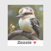 Sticker Kookaburra (Feuille)