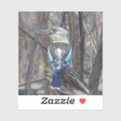 Sticker Kookaburra Bird (Feuille)