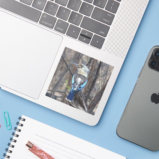Sticker Kookaburra Bird (Ordinateur portable avec iPhone)