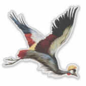 Sticker La grue couronnée sud-africaine en plein vol (Devant)