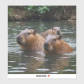 Sticker La Nage Des Capybaras Dans La Rivière, (Feuille)