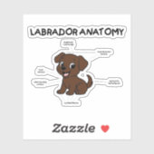 Sticker Labrador Retriever Chocolat Dessin Animé Anatomie (Feuille)