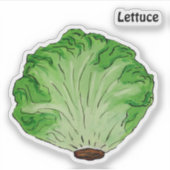 Sticker Laitue (Devant)