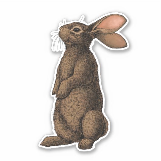 Sticker Lapin (Devant)